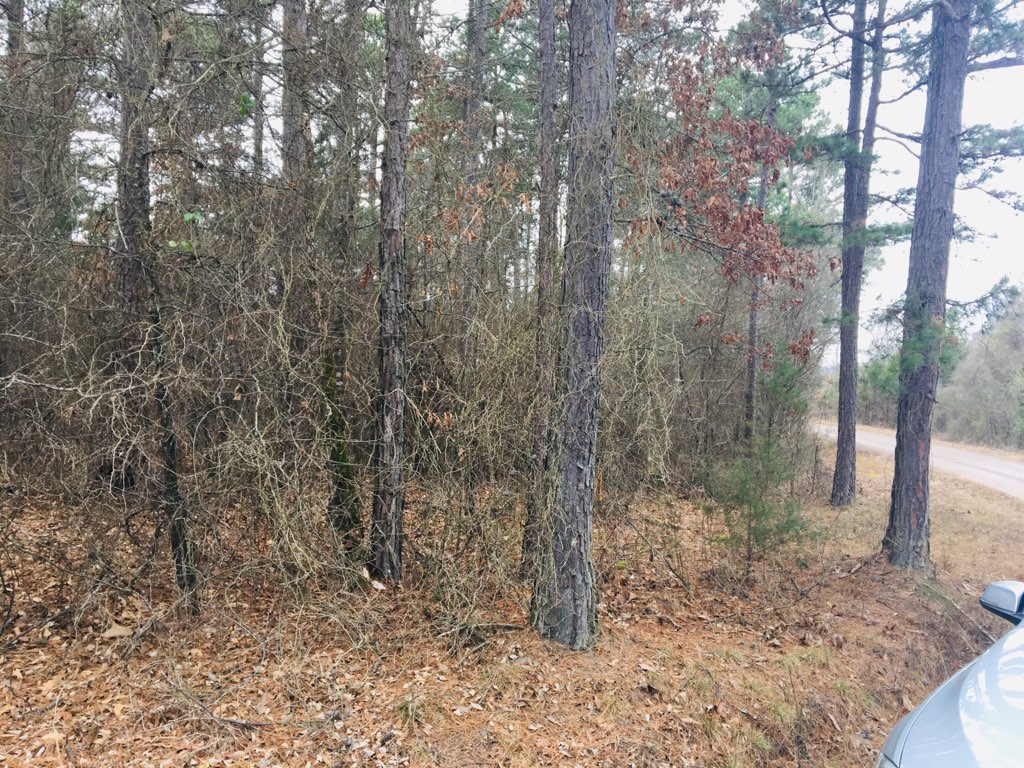 Other Subdivision - Land