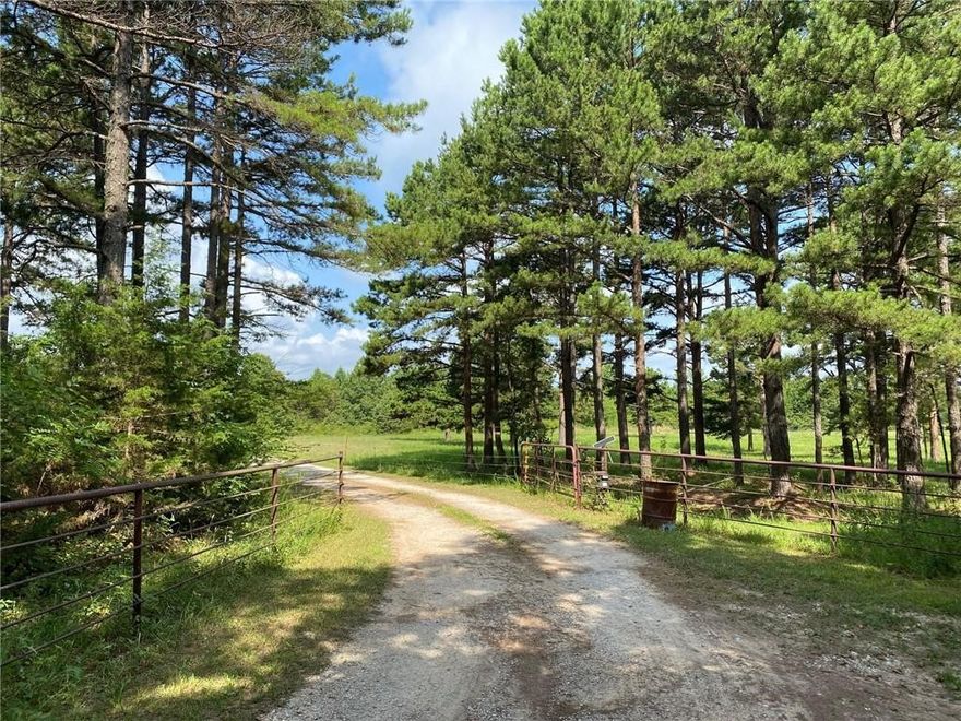 Beautiful custom log home and acreage adjacent to old Marble Falls Ski Resort and Dog Patch theme park recently acquired by Johnny Morris. Plotted for development on 1970's. Property has old roads throughout. Nice flat pasturelands and sloped timberland. Great hunting! Additional MLS #'s 1192465 & 1192682.  Divisible.  Home can be bought separately with less acreage (5,10 or 20 ac)