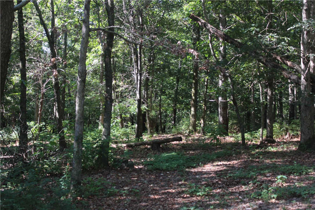 5.01 acres ready to build your dream home on, wooded with great views, some open pasture in the low areas. Water and electric at street. Will need septic. No Deed restrictions. Livestock sheds and small barn on property. Via the new bypass travel time is 15 Minutes to Walmart Home Office.