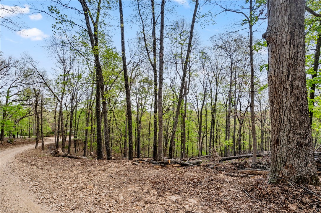 Beavers Cove - Land
