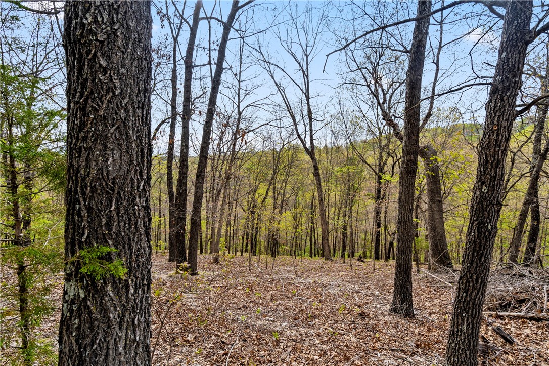 Beavers Cove - Land