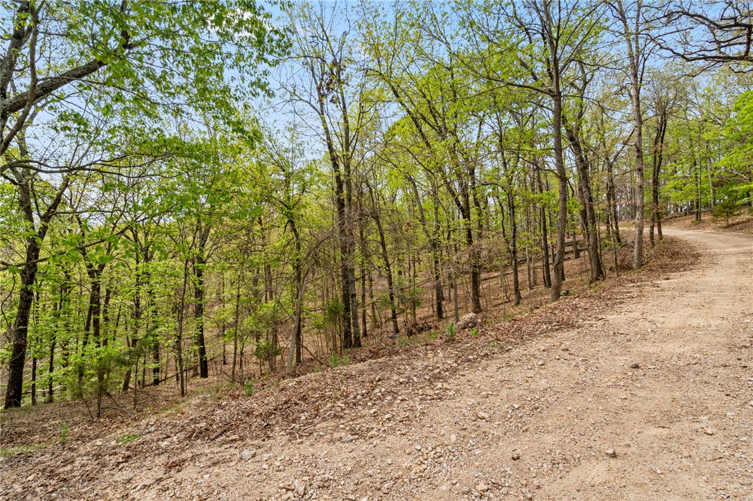 Beavers Cove - Land