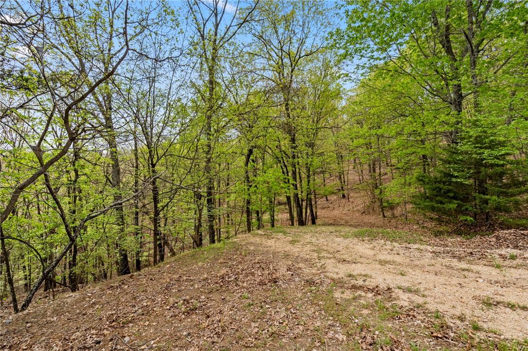 Beavers Cove - Land