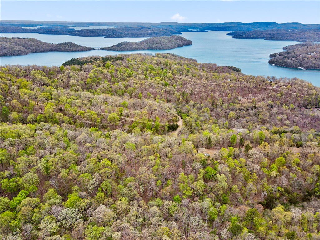 Looking for rural, secluded lake area living? These 20.86 acres offer just that! Large hardwood trees, 118 feet of lake front access, mountain views, and wild life await. Escape to this serene location with just the peace and quiet your soul desires. The acreage is comprised of 6 individual tracts with multiple build sites and drives also cut in. Situate your dream home or quaint cabin in the woods to embrace the natural surroundings. Well and septic needed. Underground electric at the road. The tracts are also listed as two groups of three totaling ~10 acres each...MLS #1305068 & #1305069