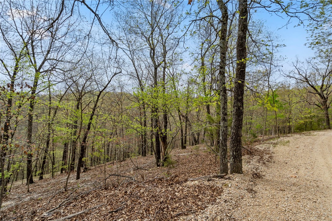 Beavers Cove - Land