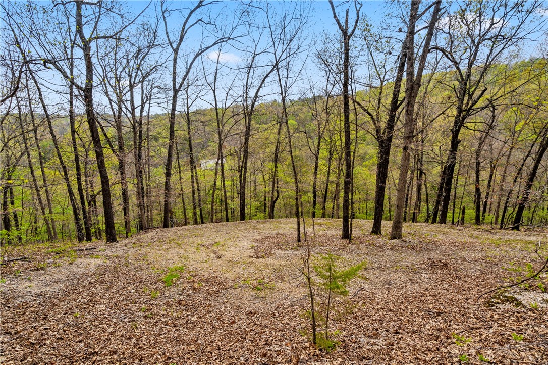 Beavers Cove - Land