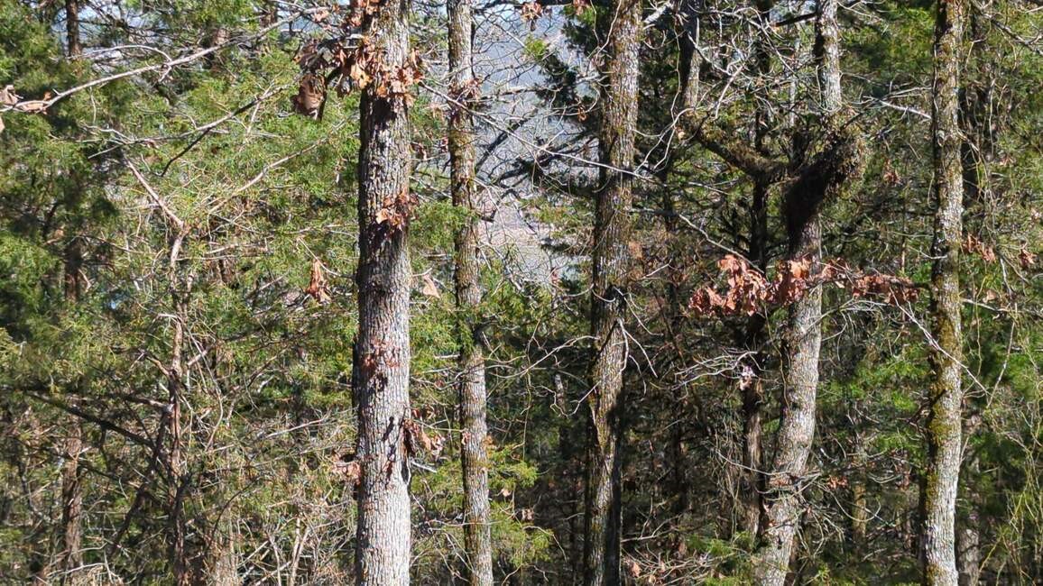 Dardanelle City Subdivision - Land