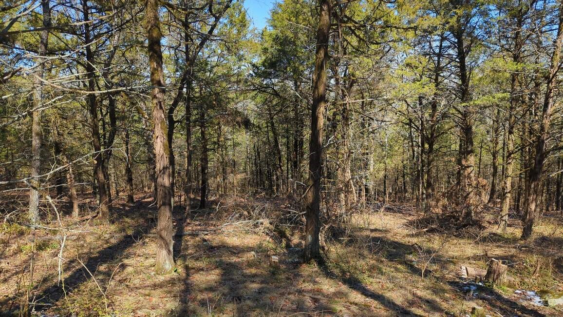 Dardanelle City Subdivision - Land