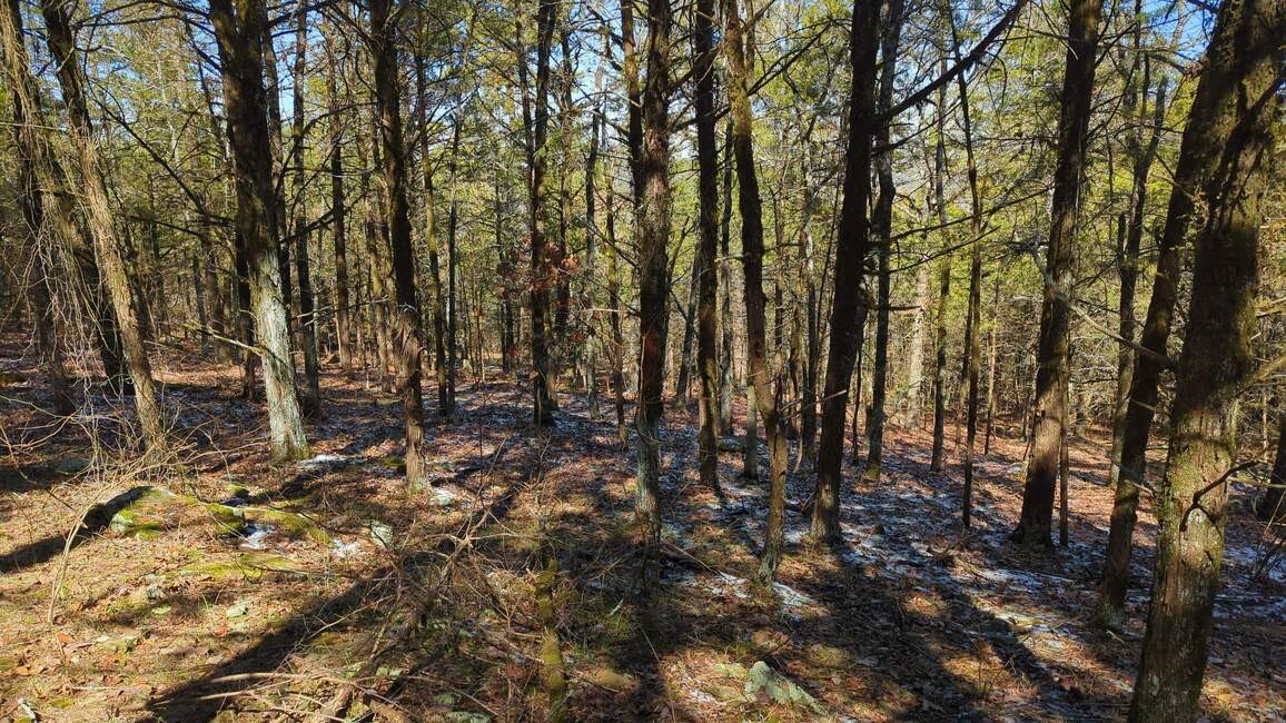 Dardanelle City Subdivision - Land