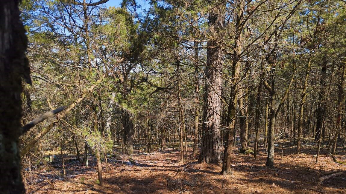 Dardanelle City Subdivision - Land