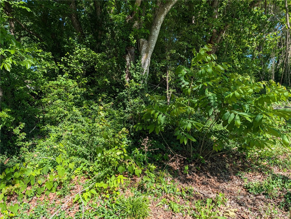 Country Club Hills - Residential