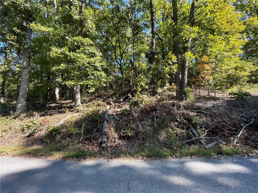 Prime building sight near beautiful Beaver Lake.  Close to Prairie Creek Marina & Campground, Hwy 12 public boat ramp & Hobbs State Park.  Enjoy all watersports on Beaver Lake & hiking & biking trails in Hobbs State Park.  Close to downtown Rogers & Entertainment District.  Build your dream home away from the hustle & bustle of the city!