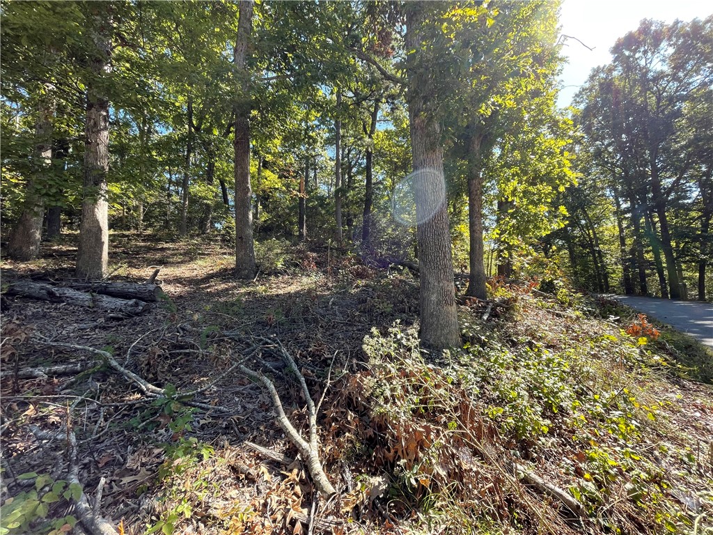 Pine Ridge Estates-Rurban - Land