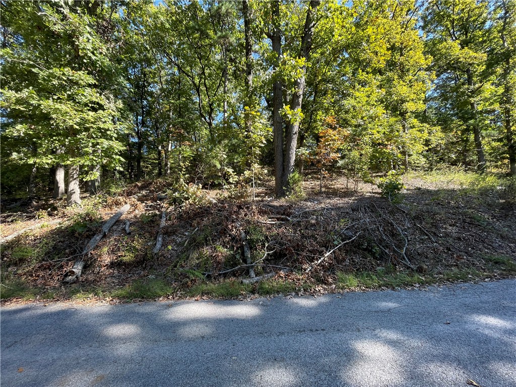 Pine Ridge Estates-Rurban - Land