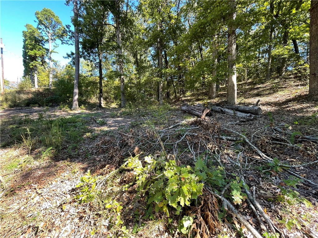 Pine Ridge Estates-Rurban - Land