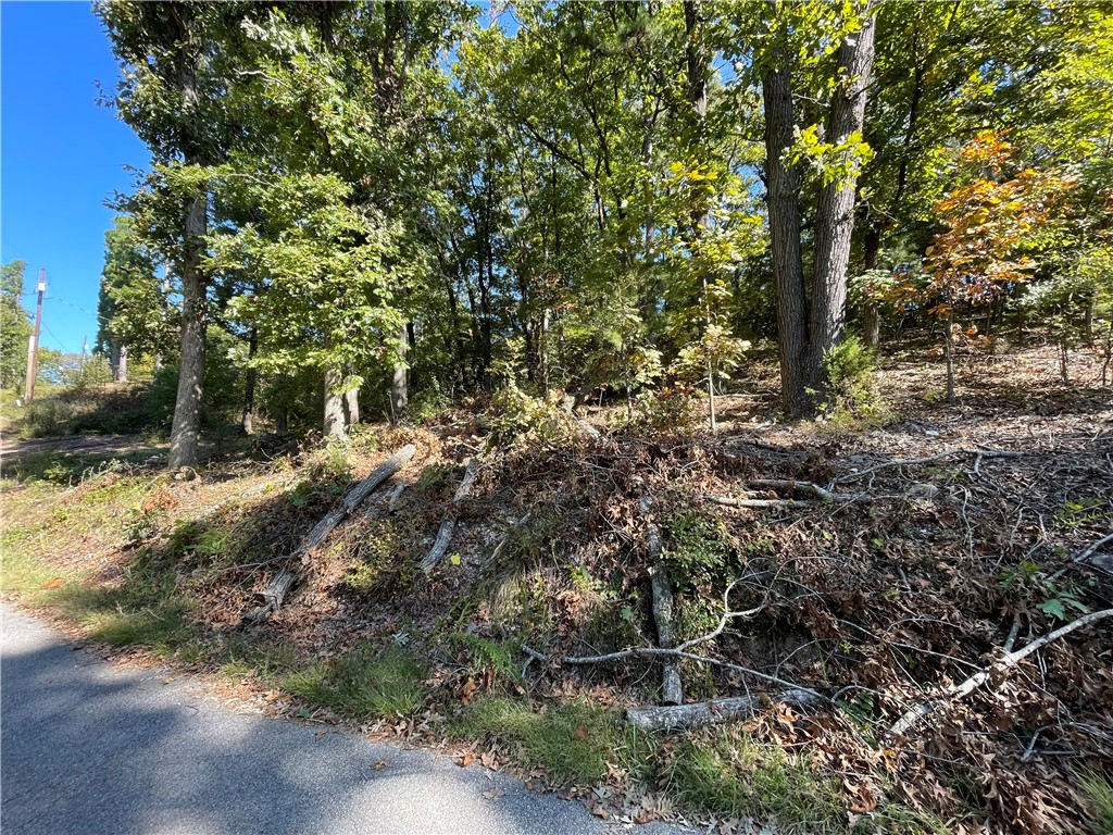 Pine Ridge Estates-Rurban - Land