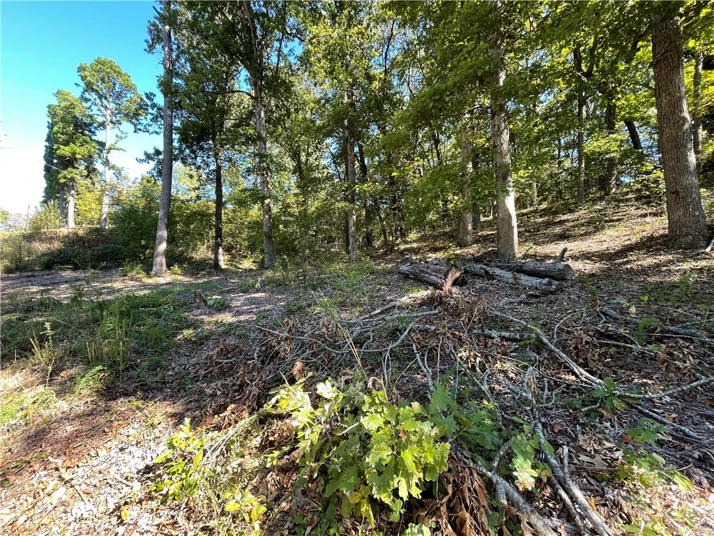Pine Ridge Estates-Rurban - Land