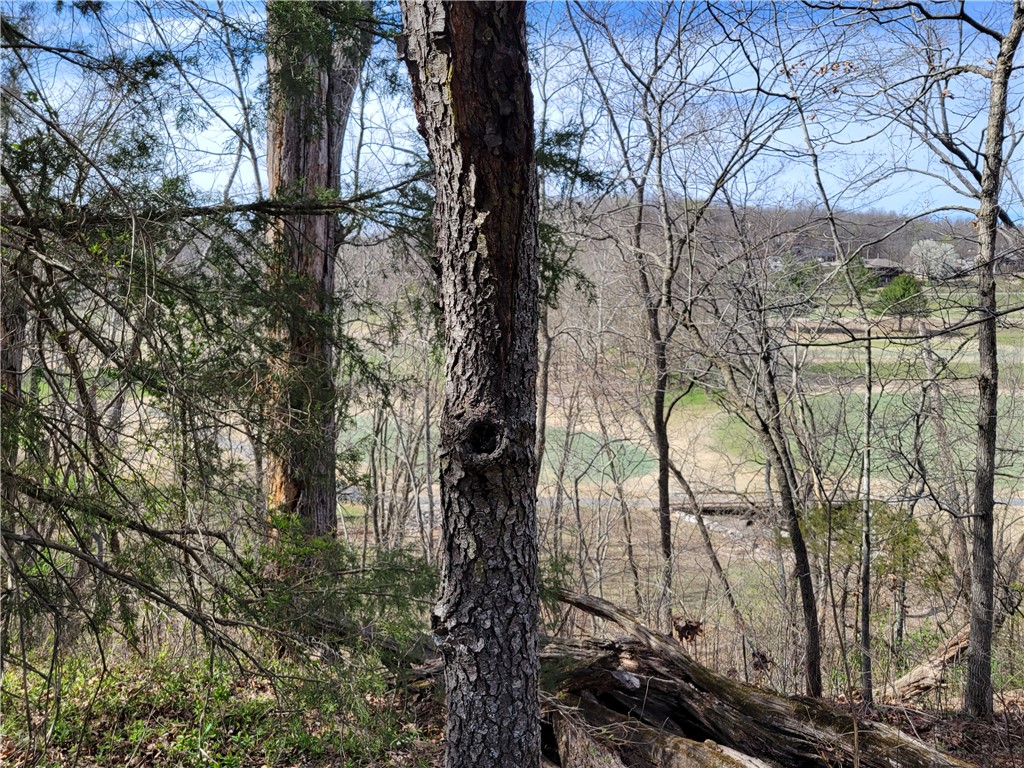 Scalloway Sub Bvv - Land