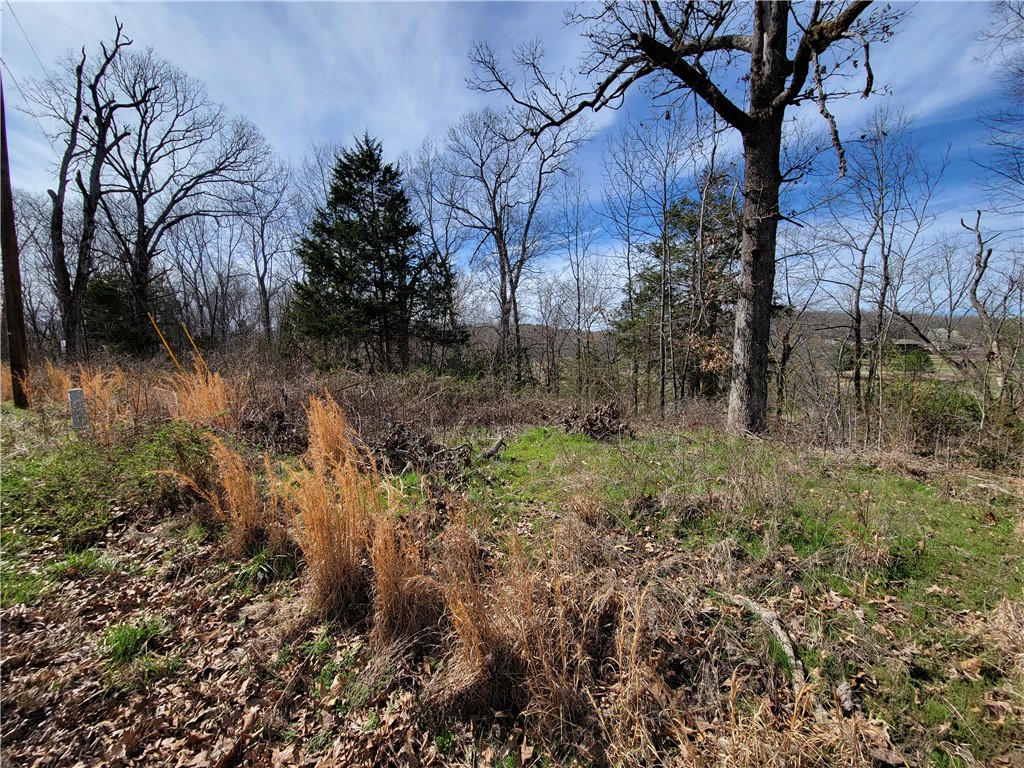 Scalloway Sub Bvv - Land
