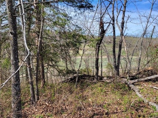 SCALLOWAY DR, BELLA VISTA, AR 72715 - Image b059ee8323dfbd1d8fb8e77898c78c82/2877709574