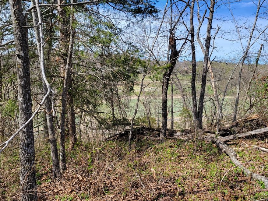 This lot offers incredible views of the Scotsdale golf course. It is also located just across the road from the Tunnel Vision mountain bike trail. Go check out this lot and visualize your new home there.