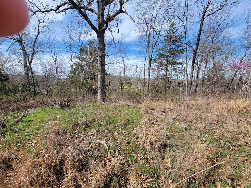 Scalloway Sub Bvv - Land