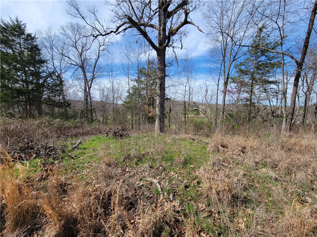 Scalloway Sub Bvv - Land