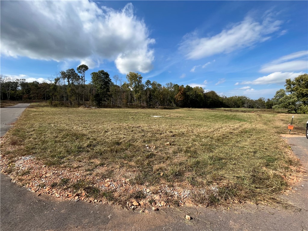 3.87 acres of wooded, gently rolling land. Residents enjoy access to a 7+ acre common area along Little Osage Creek that runs through the neighborhood. This neighborhood is perfect for fishing, exploring, or relaxing. Utilities are available at the street. This property combines a peaceful retreat with quick access to everything Northwest Arkansas has to offer.