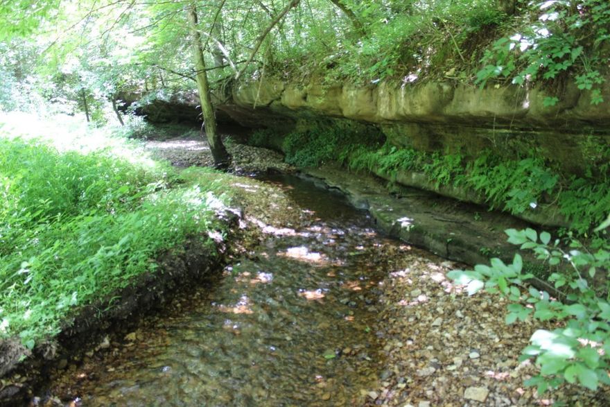Year-Round Stream - 2.74 Acres - Only 3 Miles from Harrison - just what everyone would love to have!! Enjoy the tranquility of watching and listening to running water from the front deck of this 2 bedroom home, includes 2 level front deck, enclosed back porch, double carport, living-dining combo, brick hearth and flue for wood stove, full bath with whirlpool tub & shower, on-demand water heater. Home is ready for you to update to your preferred taste, current water source is a spring with a concrete holding tank, submersible pump & pressure tank. Land has wooded area and open area with scattered trees to allow view of stream from the deck or inside the home and it's an easy walk to the stream. A long driveway leads to a paved county road only about 3 miles to the main part of Harrison. Aerial sketch in Documents. Come See Soon!!