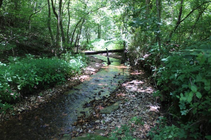 Year-Round Stream - 2.74 Acres - Only 3 Miles from Harrison - just what everyone would love to have!! Enjoy the tranquility of watching and listening to running water from the front deck of this 2 bedroom home, includes 2 level front deck, enclosed back porch, double carport, living-dining combo, brick hearth and flue for wood stove, full bath with whirlpool tub & shower, on-demand water heater. Home is ready for you to update to your preferred taste, current water source is a spring with a concrete holding tank, submersible pump & pressure tank. Land has wooded area and open area with scattered trees to allow view of stream from the deck or inside the home and it's an easy walk to the stream. A long driveway leads to a paved county road only about 3 miles to the main part of Harrison. Aerial sketch in Documents. Come See Soon!!