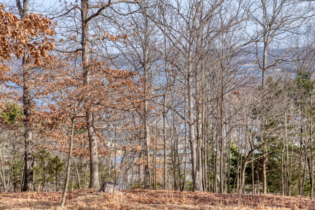 Marina Heights - Residential