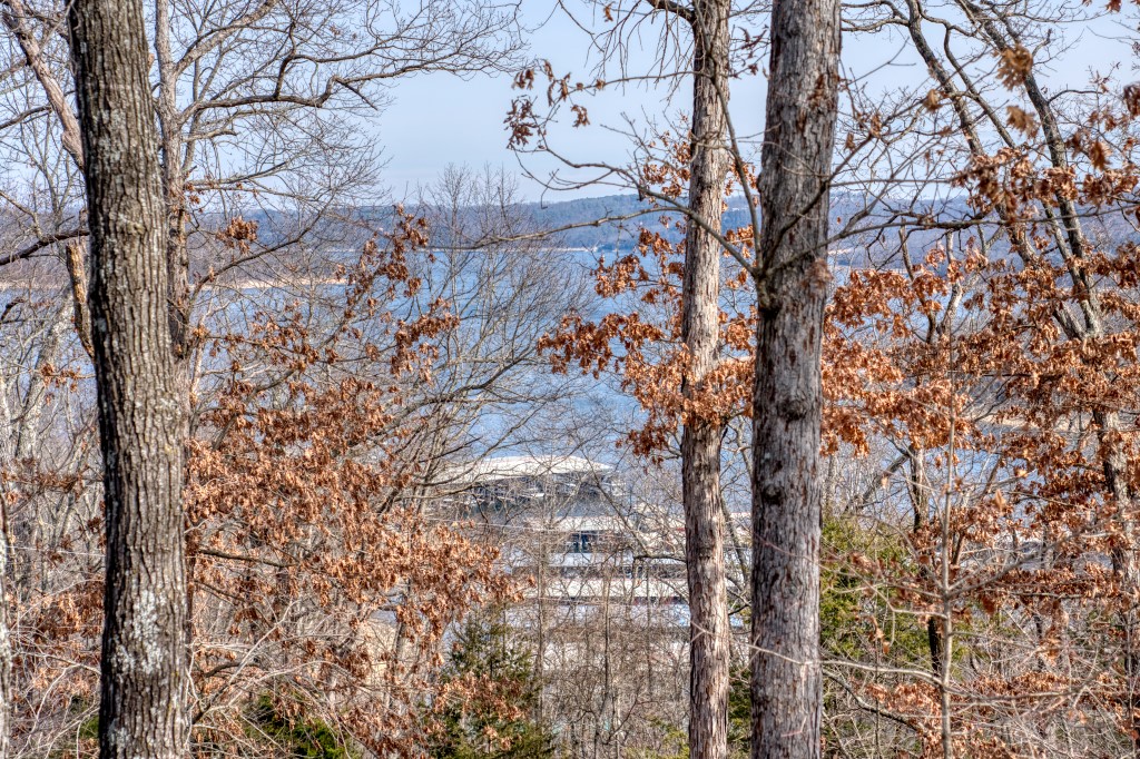 Marina Heights - Residential