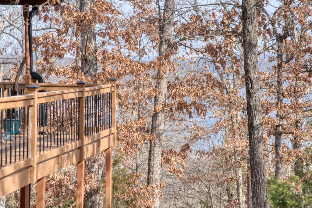 Marina Heights - Residential