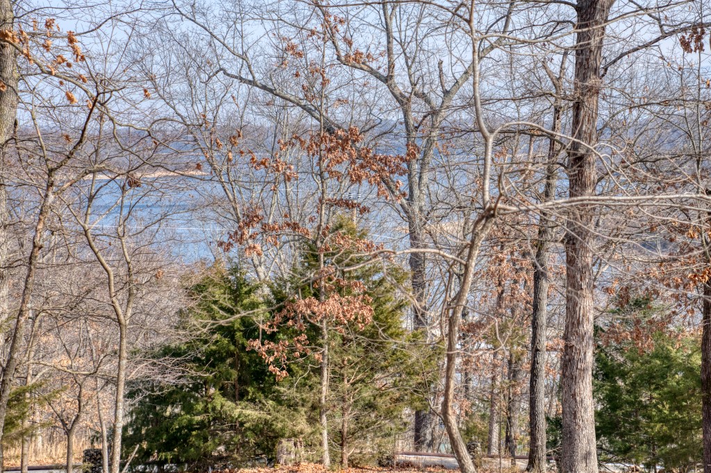 Marina Heights - Residential