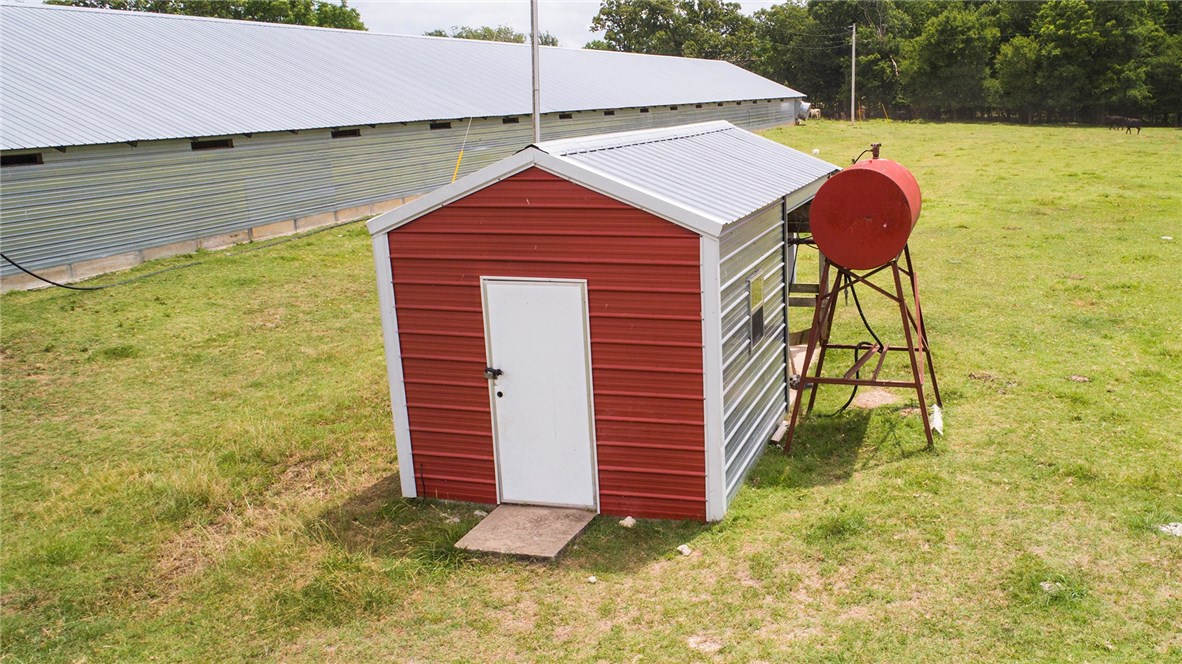 Money from chickens - Farm