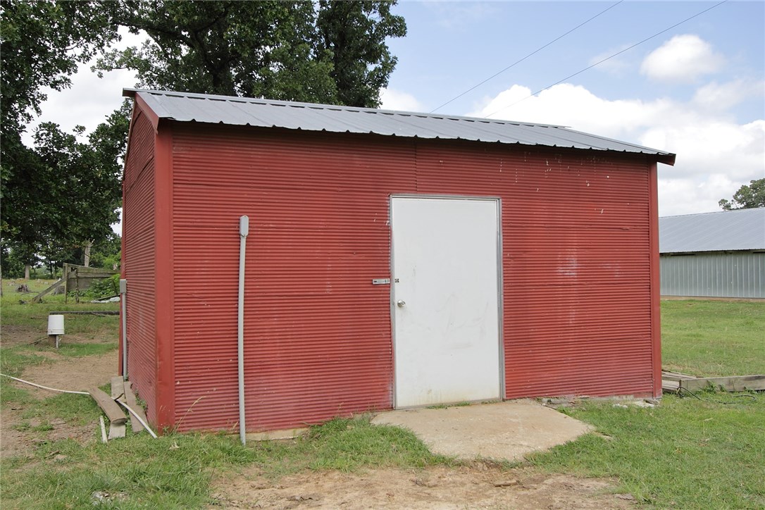 Money from chickens - Farm