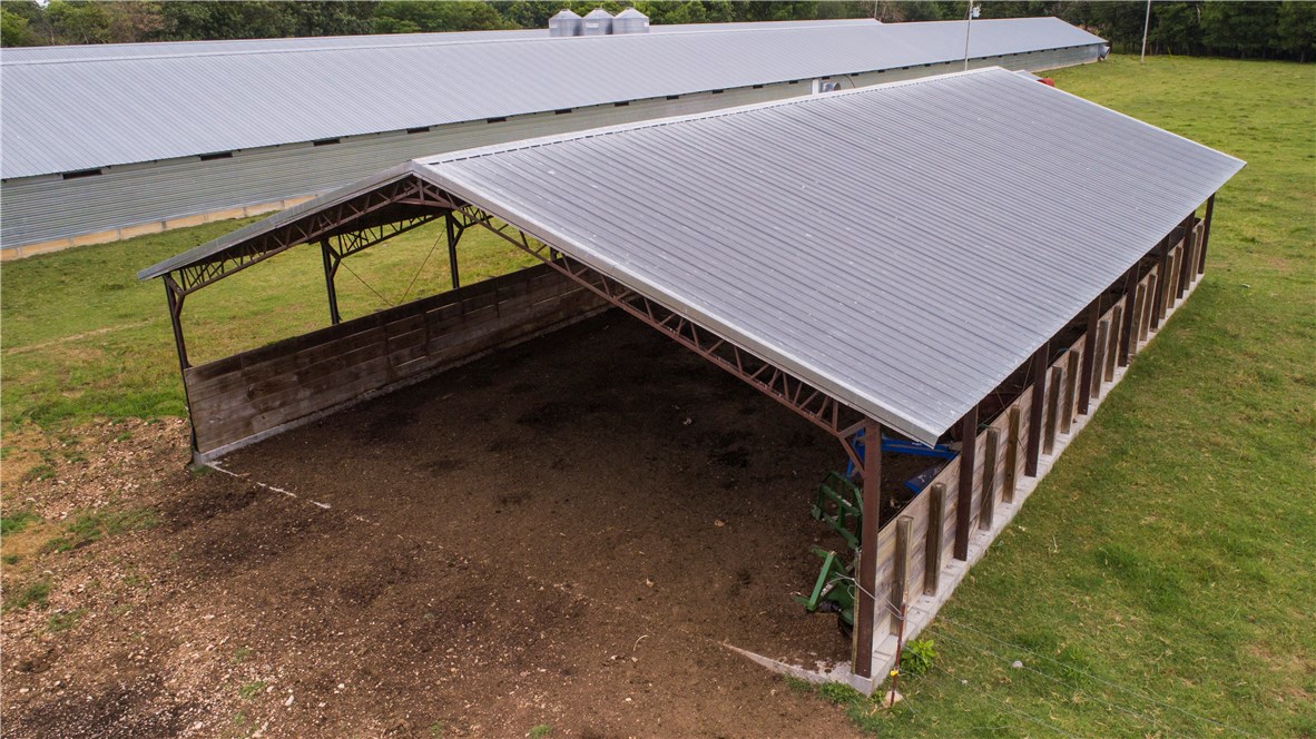 Money from chickens - Farm