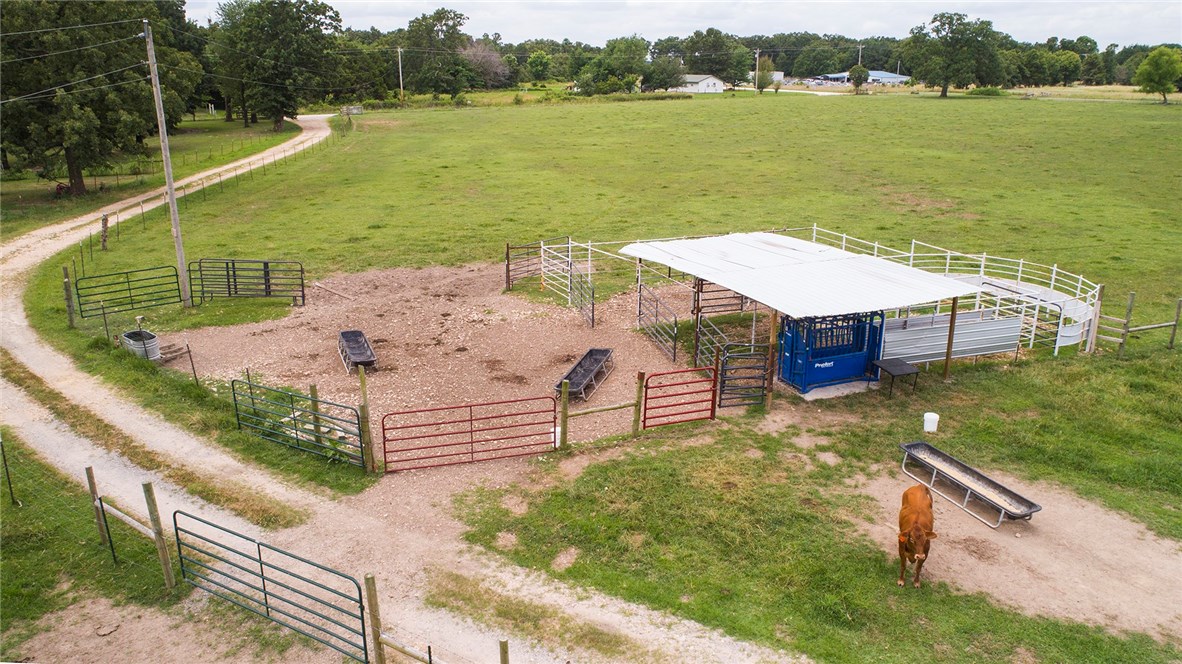 Money from chickens - Farm