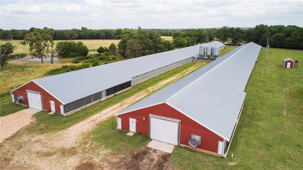 Money from chickens - Farm