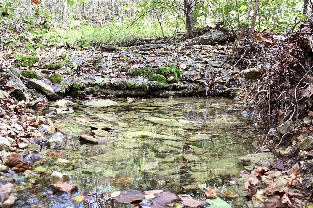 This 85 acres would be a great Lakefront build site or as a tremendous hunting. There is about 465 yards of Bull Shoals Corps of Engineer frontage, adding over 150 acres of hunting opportunity. The property has lots of hardwoods. Past the gate is a beautiful stream and road that crosses the property. The land is on a flat ridge top with open timber and has a nice balance of level ridges and gentle slopes. Power is at the property and has been surveyed and the borders were marked with purple paint.