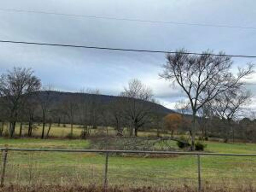 12005 Bethel Road, Dardanelle, Arkansas.  Lot #3.  257.65 feet frontage by 836.90 ft deep this gorgeous piece of land sits at the foot of Mt Nebo a state park previously a resort in the late 1800's.  Electricity at the street.  Site septic needed.  no mobile homes or commercial.  single family residence only.  make appointment to see today.