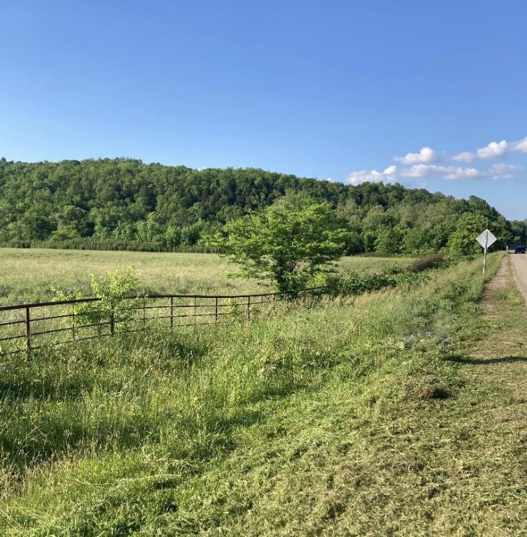 Beautiful open pasture land. Close to a river and has a lot of potential. 13 acres for someone that wants to get away and out of town. You can build a custom home right here. The skies are endless when you see how gorgous this really is!!!!!