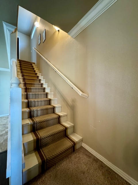 Rupple Row - Residential Lease