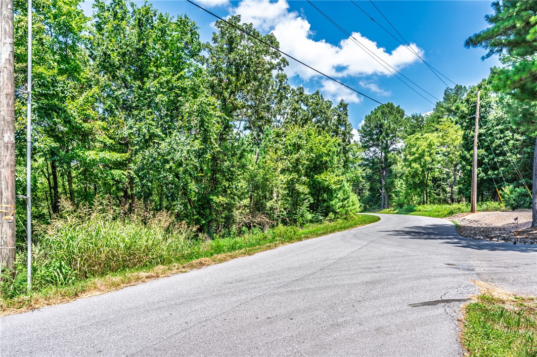 Level at the street with a gentle slope. Located just minutes from Branchwood Fitness Center, walking trails, the Highlands Golf Course, and picturesque Loch Lomond. A rare opportunity for privacy, convenience, and access to Bella Vista's 7 lakes, golf courses, trails, restaurants, and 3 fitness facilities.