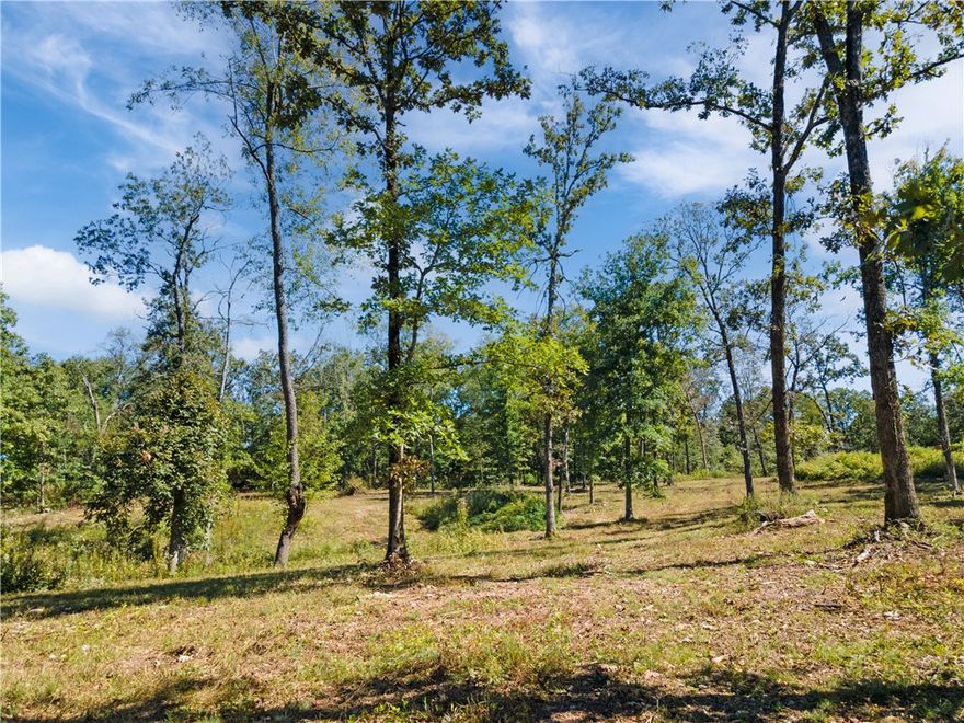 Located in the highly desirable Bentonville School District, this estate-sized lot is the perfect spot for your dream home. With essential utilities—water, electricity, and fiber—already available at the road and a drive and culvert all ready cut in, this property offers a smooth and efficient start to your home-building process. Located in the heart of Northwest Arkansas, you’ll be just minutes from Downtown Bentonville, the Walmart AMP, and the Promenade, plus enjoy easy access to XNA Airport and the upcoming XNA Bypass, making travel throughout the region a breeze. Surrounded by mature hardwood trees, this lot provides a peaceful, private setting while also offering great investment potential as the NWA area continues to grow.