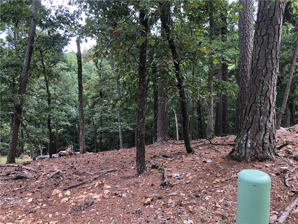 Building lot with all the amenities in trendy new neighborhood within walking distance of downtown. Build your plan on this shady lot with paved street, electricity, all-new city water and sewer lines, and cable!
