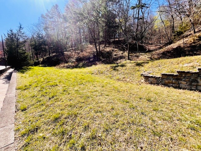 Incredible opportunity to own 8 consecutive lotss on Main Street in desirable Eureka Springs! A huge business opportunity. Several options, from tiny homes, to food truck. A high foot and vehicle traffic area that sits between the Eureka Springs transit and Welcome Center. Downtown shopping district right down the street. Private driveway provides easy access to the property. 2 natural springs on property. Agent owned.
