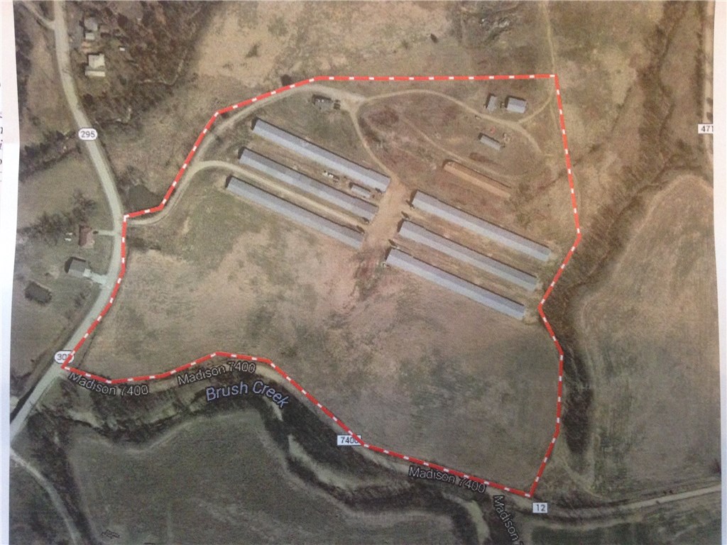 poultryfarmlane - Farm