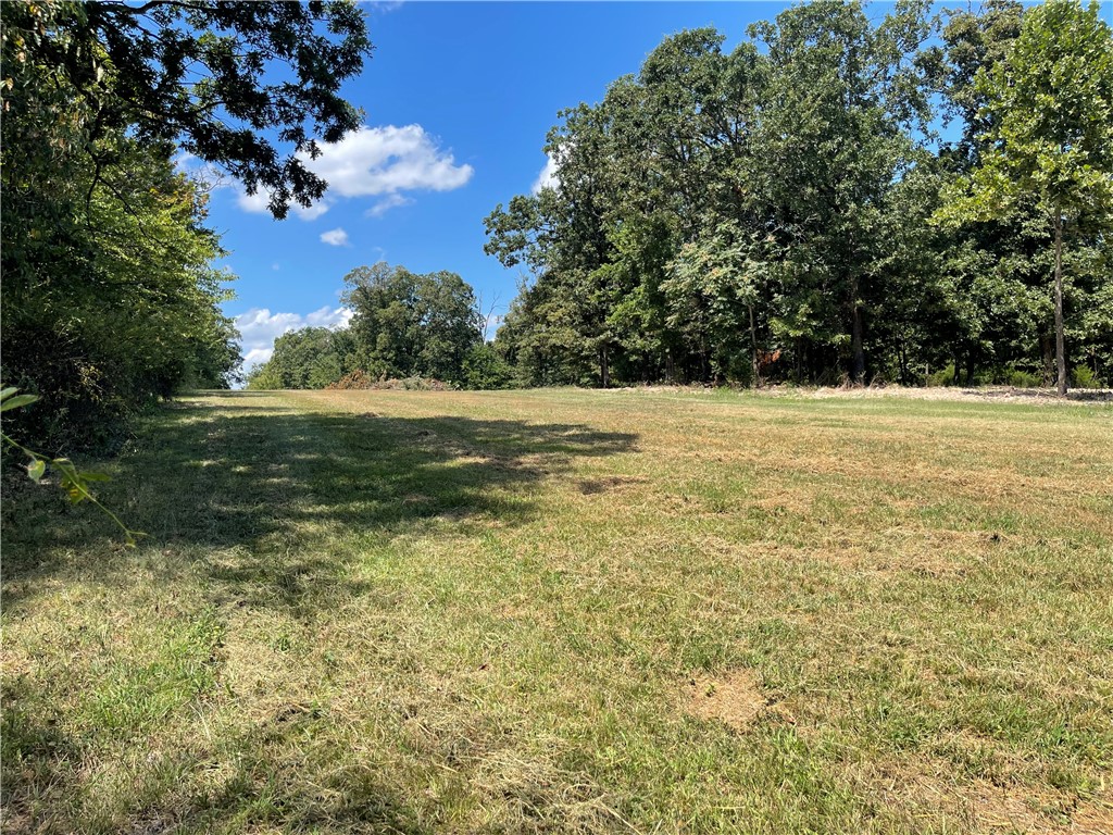 "Prime opportunity! Beautiful 10.9-acre unrestricted parcel perfectly positioned in a rapidly growing area, making it an excellent choice for your dream home, investment, or future development. Enjoy easy access with a 50-foot-wide easement from S. Pleasant Valley Road. The property already includes a well (see photo), with city water and electricity to be provided by the city at the front of the lot. Portions of the land are cleared and ready for building, while the remaining wooded areas provide natural beauty and privacy. A rare combination of convenience, flexibility, and potentialādonāt miss it!"
