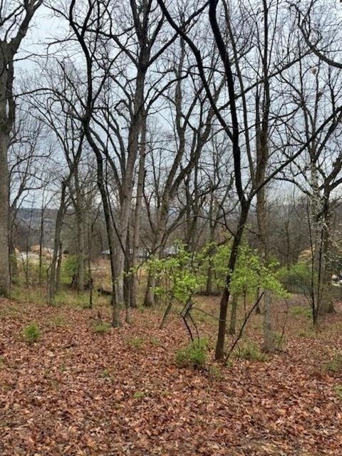 Sequoyah Preserve Pud - Land